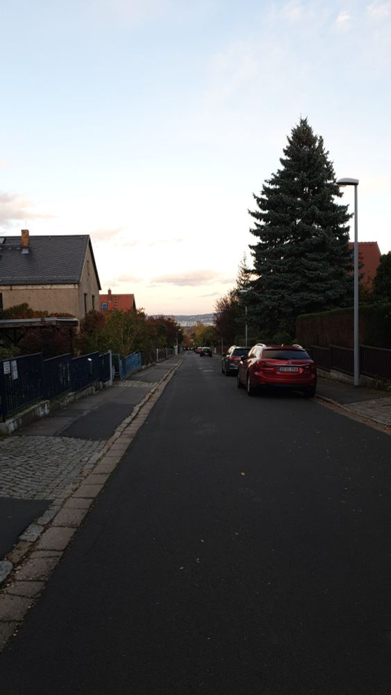 Blick eine schmale Straße hinab. Links und rechts Gärten mit herbstlichen Büschen. Leicht oranger Himmel. Am Horizont ist die Dresdner In Innenstadt zu erahnen.