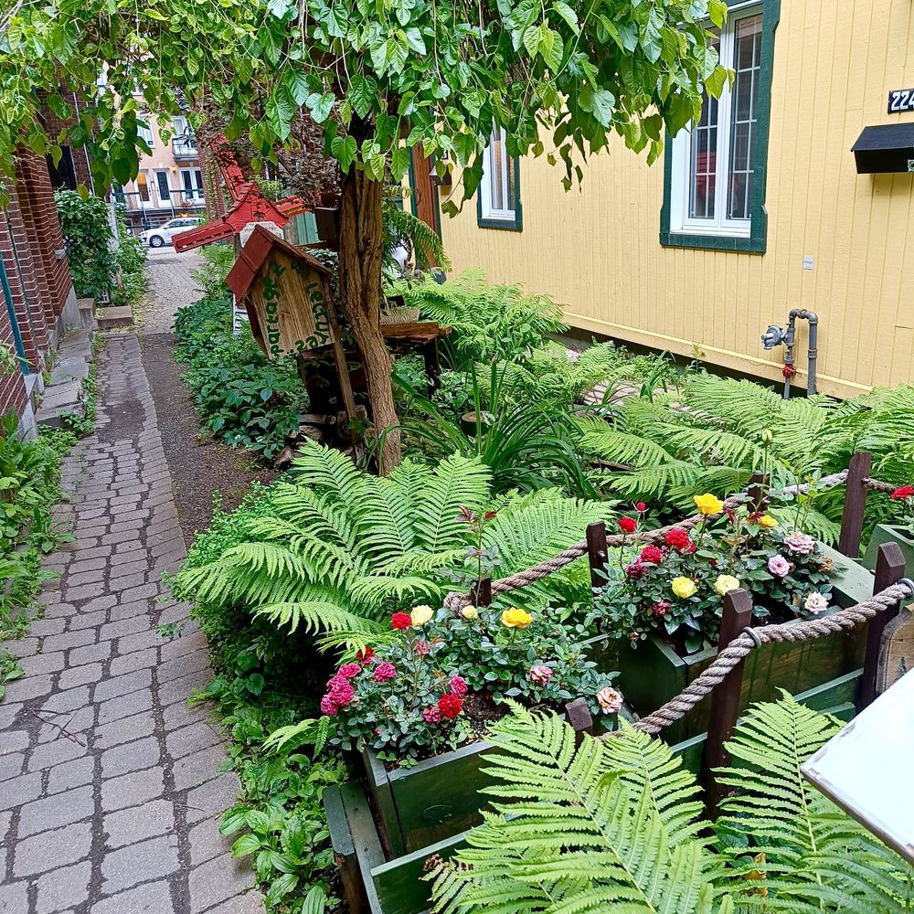 A green alley, with flowers, trees and a little windmill.