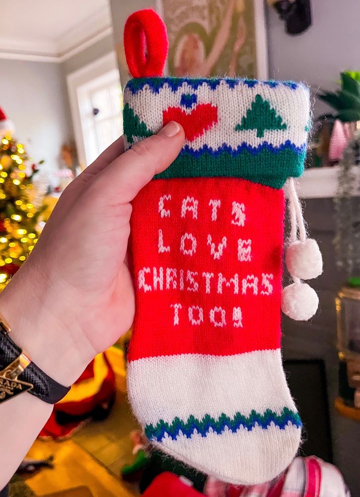 A tiny Christmas stocking that says “cats love Christmas too!” 