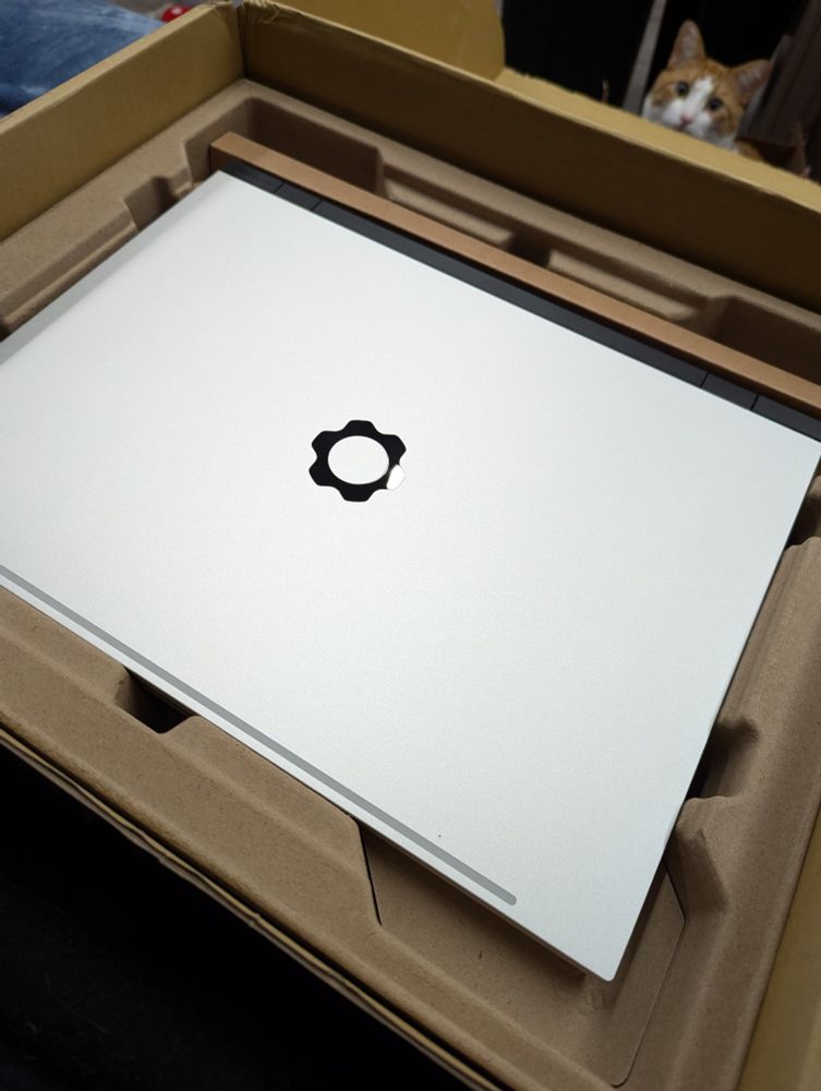 A freshly unpacked Framework 16 laptop, with a cat poking out in the background for extra vibes :)