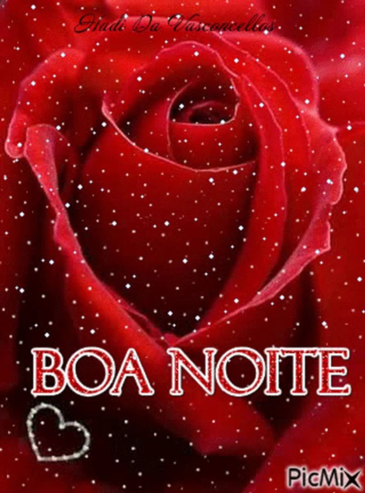 a picture of a red rose with the words boa noite on it