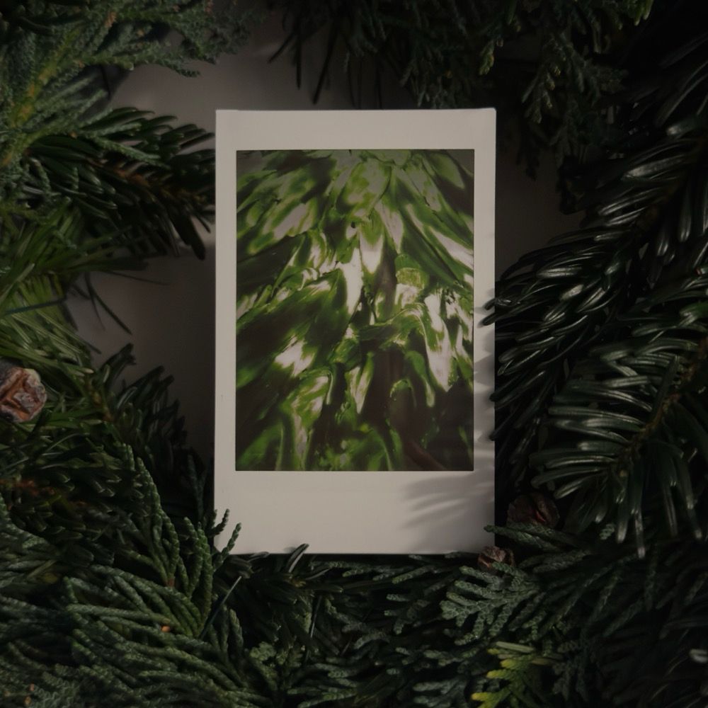 Instant photo of abstract green painting on glass in between a evergreen wreath.