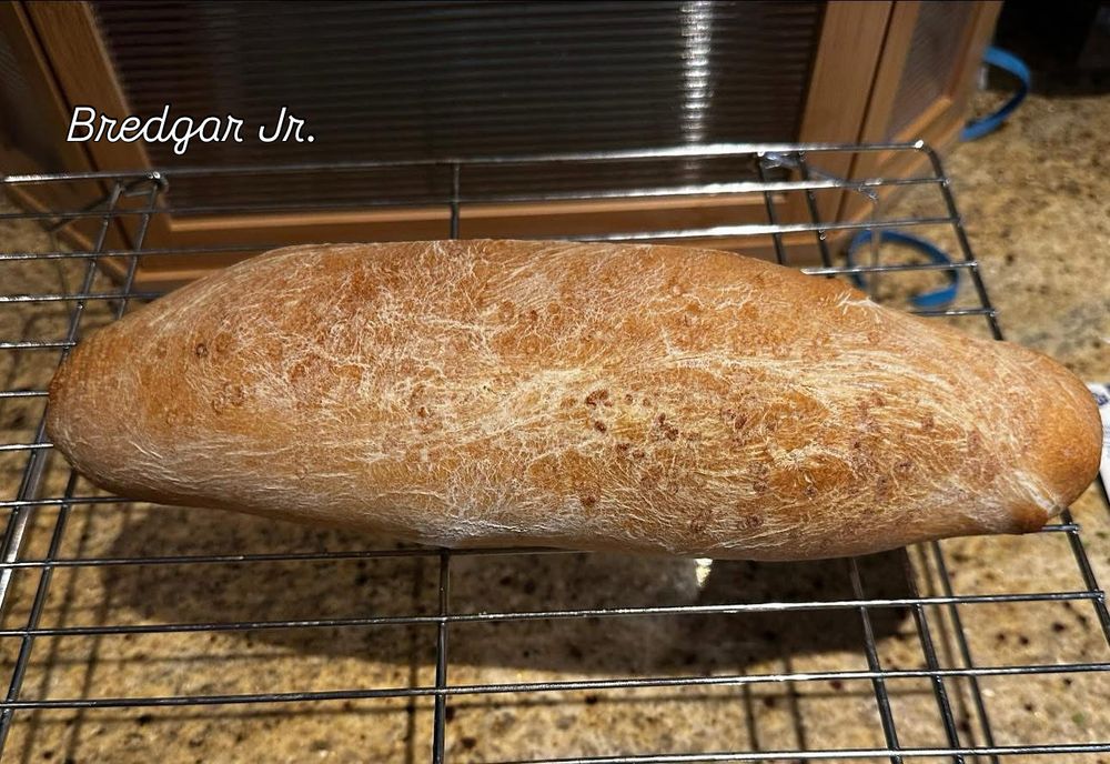 Long loaf of sourdough named Bredgar Jr. on a cooling rack. 