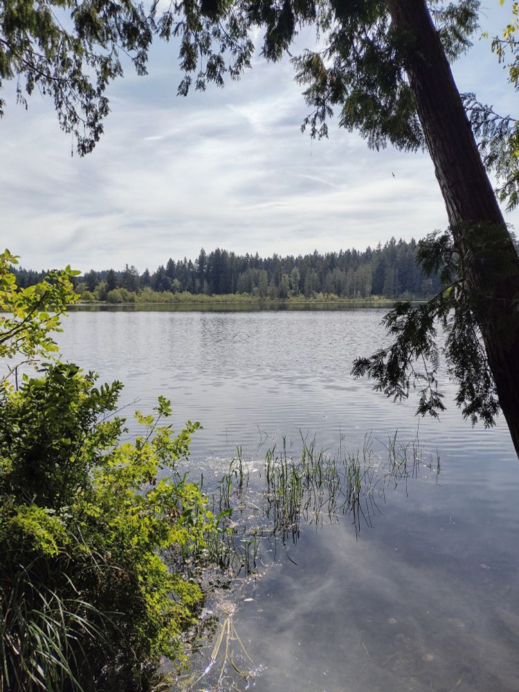Deep Lake in Millersylvania State Park, WA