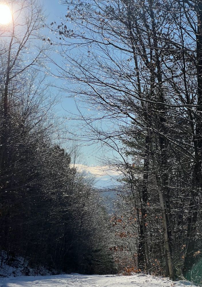 Frozen raindrops on trees with a mostly snowy ski trail. 