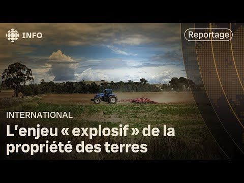 À qui appartiennent les terres agricoles d'Afrique du Sud?