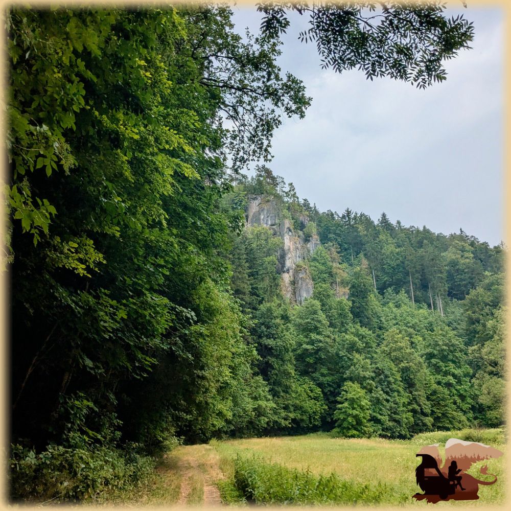 Foto eines Schotterwegs, rechts eine Wiese, links Waldrand. In einiger Entfernung kommt eine Kurve, darüber ragen weiße Felsen aus dem Wald. Der Himmel ist wolkenverhangen und regnerisch. 