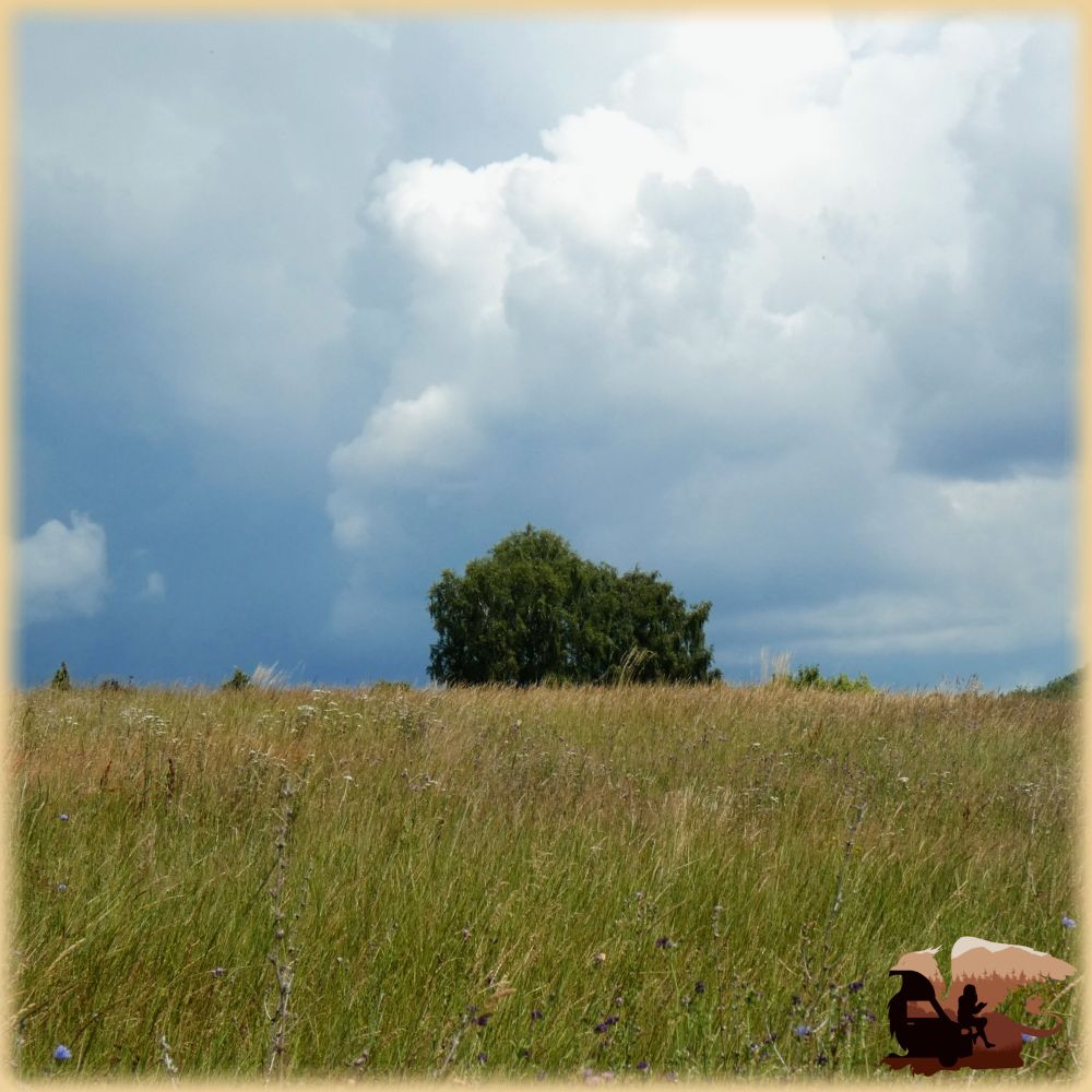 Foto über eine Wildblumenwiese einen sanften Hang hoch in Richtung eines einzeln stehenden Baums. Dahinter türmen sich Gewitterwolken auf. 