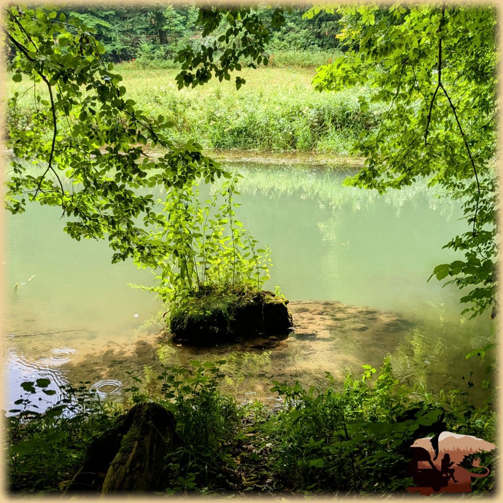 Foto eines Bachabschnitts. Am gegenüberliegenden Ufer hohes Gras und Uferpflanzen. Das Ufer auf Fotoseite flacht ab, es bleibt ein Stück seicht mit lehmigem Grund, ehe der Bach tiefer und blaugrau wird. Am Ende des seichten Bereichs ragt ein kleiner Fels aus dem Wasser, auf dem Brennnesseln wachsen. Über der Kamera ragen Äste von Laubbäumen ins Bild und senken sich bis fast zum Wasser. 