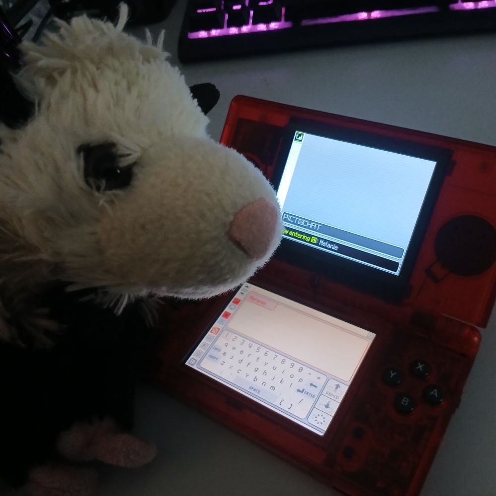 A plush opossum waiting on you to join the Pictochat room they have open on their DS lite.