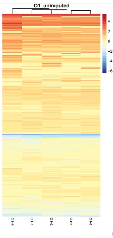 Protein abundance heatmap of plasma proteins processed by Olink technology. From Supp.Fig.5 of https://www.biorxiv.org/content/10.1101/2025.01.08.632035v1