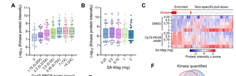 Figure 2 from https://doi.org/10.1021/acs.jproteome.4c00696 