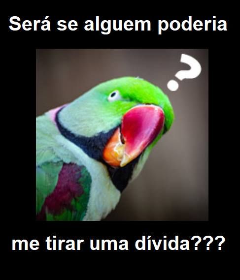this a dilexic parrot, undergound brazilian meme from the golden era before zuckerism and techno-pathos-narcism