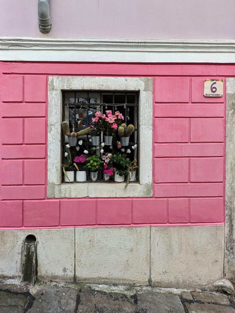 Blick auf ein pink, beiges Haus mit der Hausnummer 