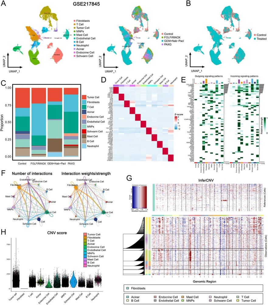 Various data types displayed alongside their corresponding graphs for visual representation and analysis.
