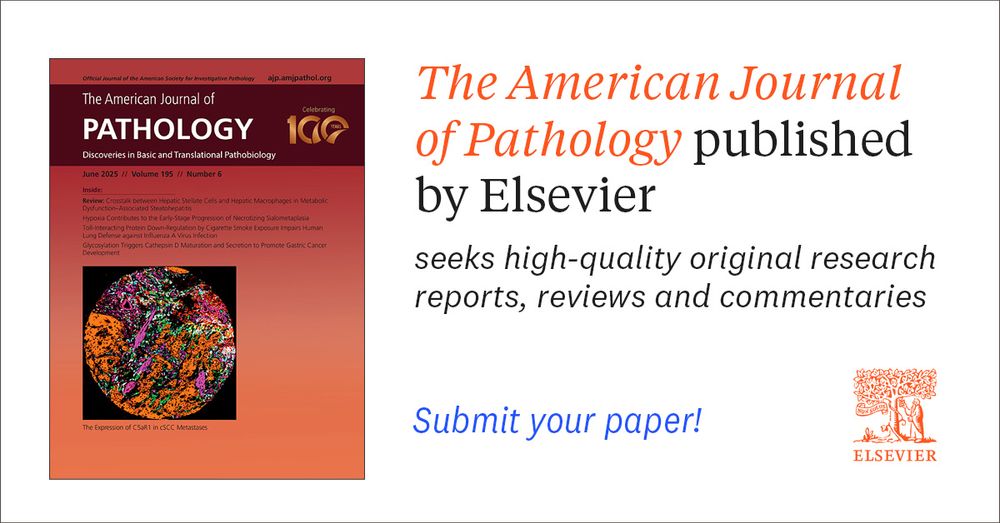 Submit your paper to The American Journal of Pathology and boost your career