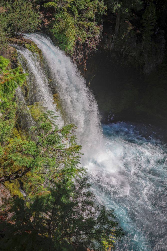 Three streams of water form the low water Koosah falls, which is one large flow in higher water.  Amazing how much water there is even in September.