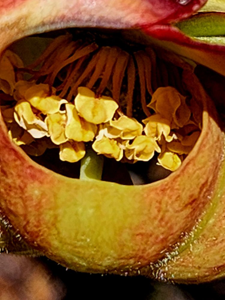 Post thumbnail