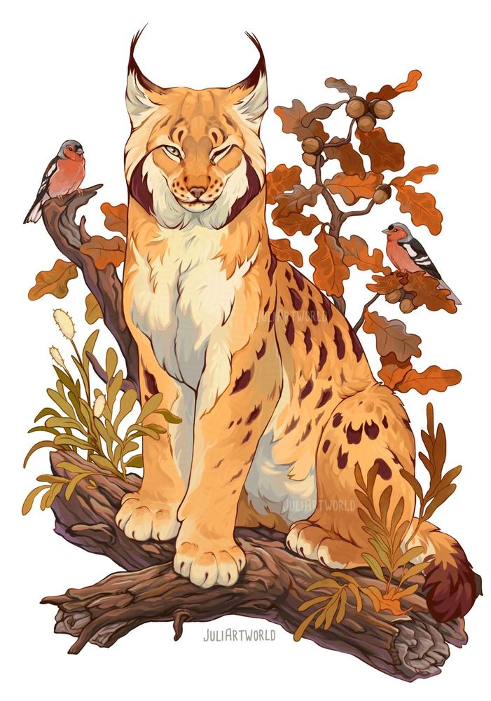 digital nature illustration in procreate. A eropean lynx sitting on an oak branch. two chaffinch are in the foliage left and right from the lynx. the left eye of the lynx is closed