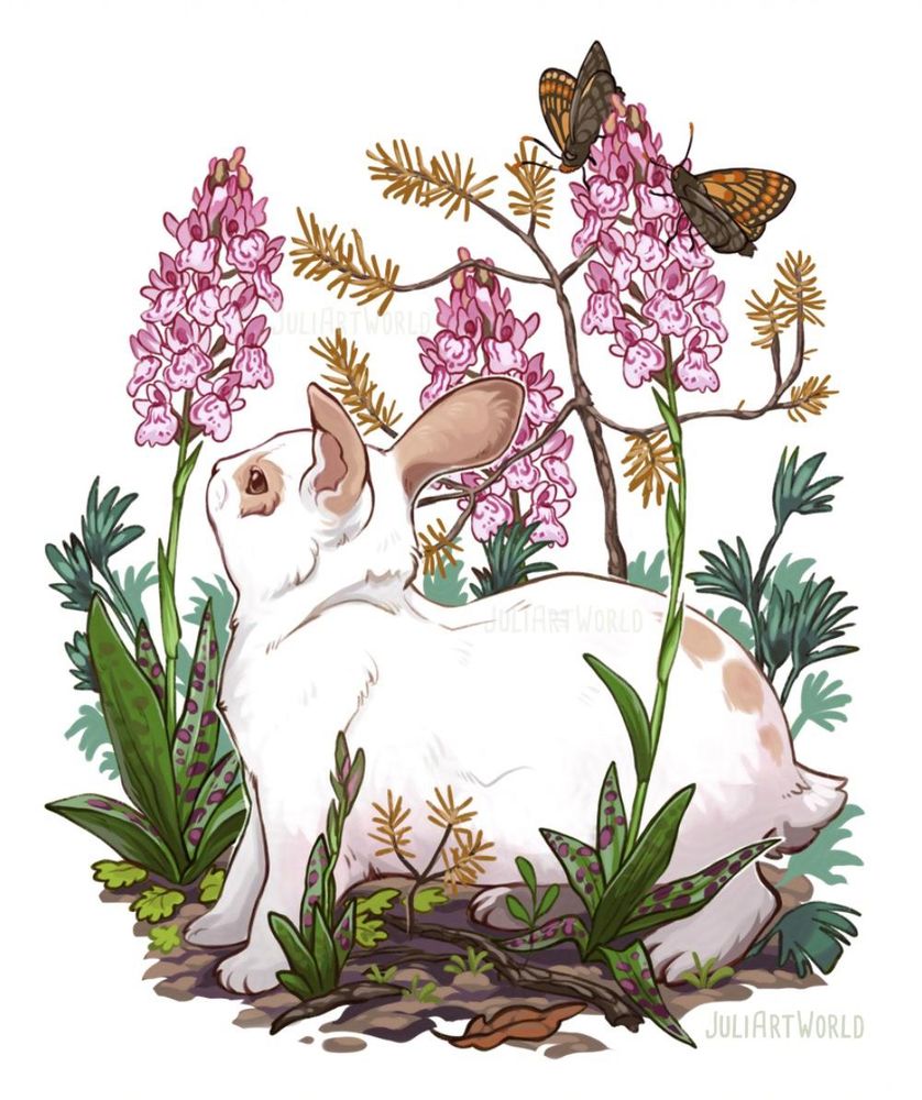procreate. digital illustration of a white rabbit standing in spring foliage (heath spotted-orchid and young pine trees) On one of the flowers are two orange and brown butterflies. The rabbit has brown ears and eyes as well as three dots on the back. 