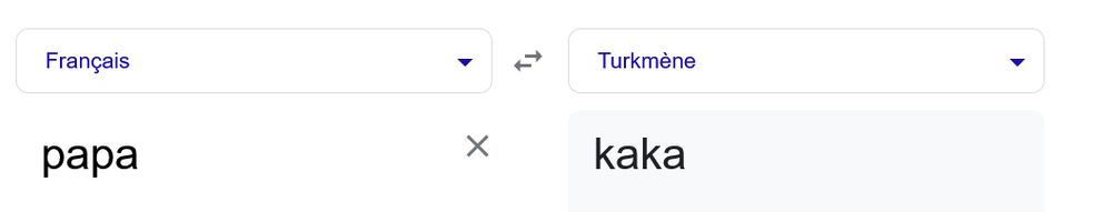 Capture écran de Google translate qui montre que le mot papa en français se traduit en turkmène par kaka.
