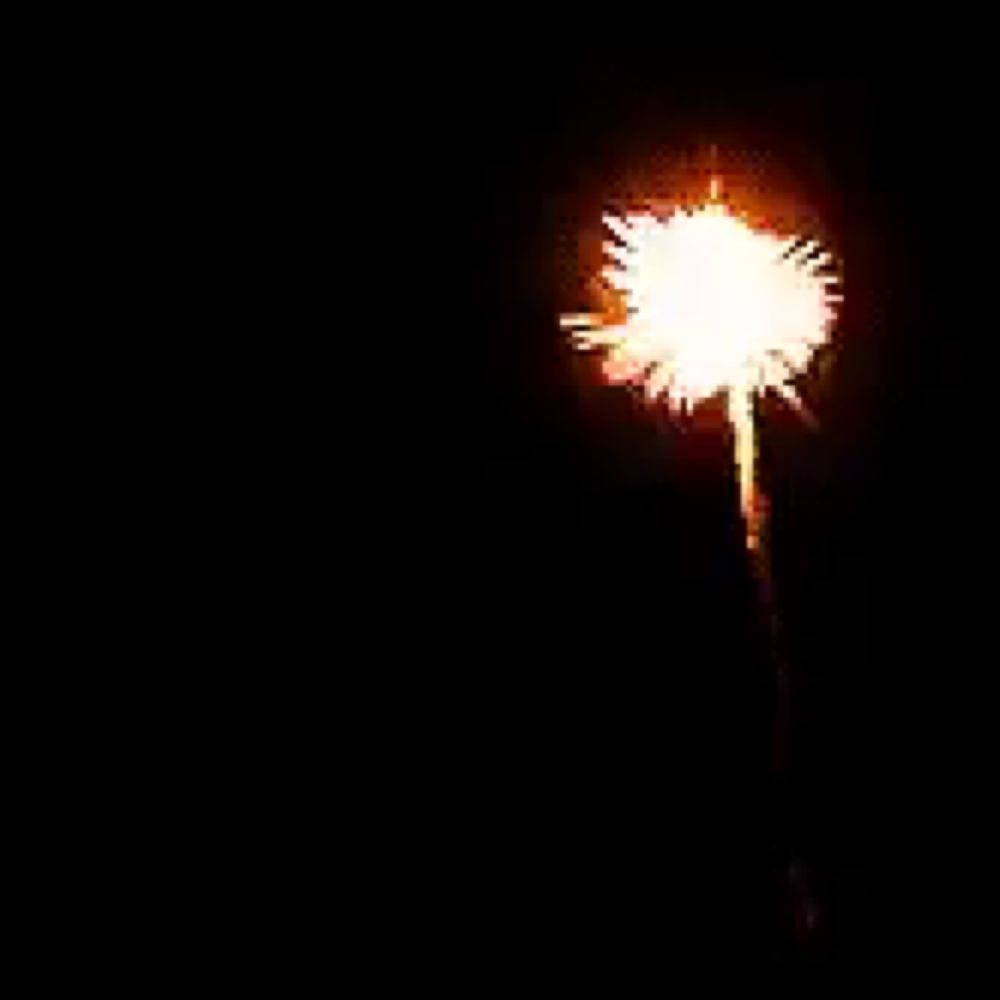 a close up of a firework display in the night sky