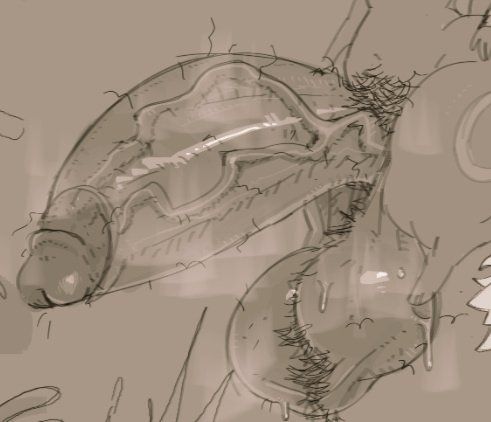 Artist: @kitrumi.bsky.social