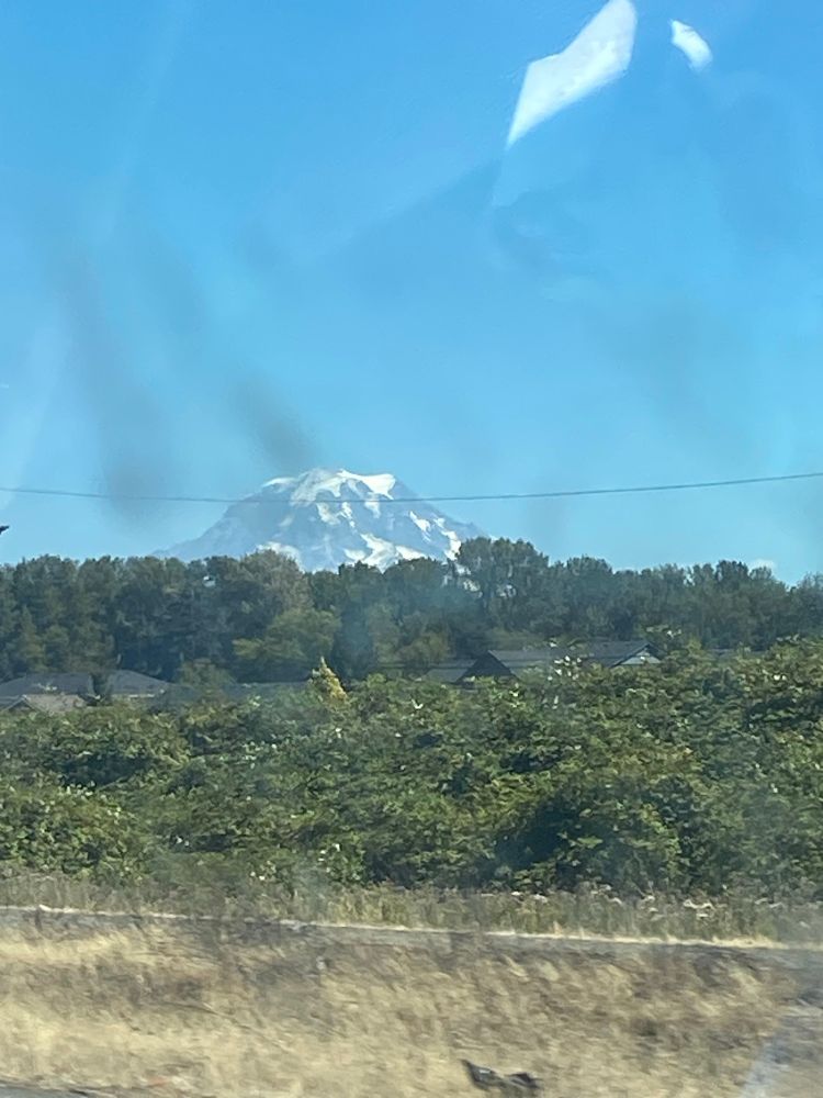 Photos of #MountRainier near #BonnieLake #WA on July 24