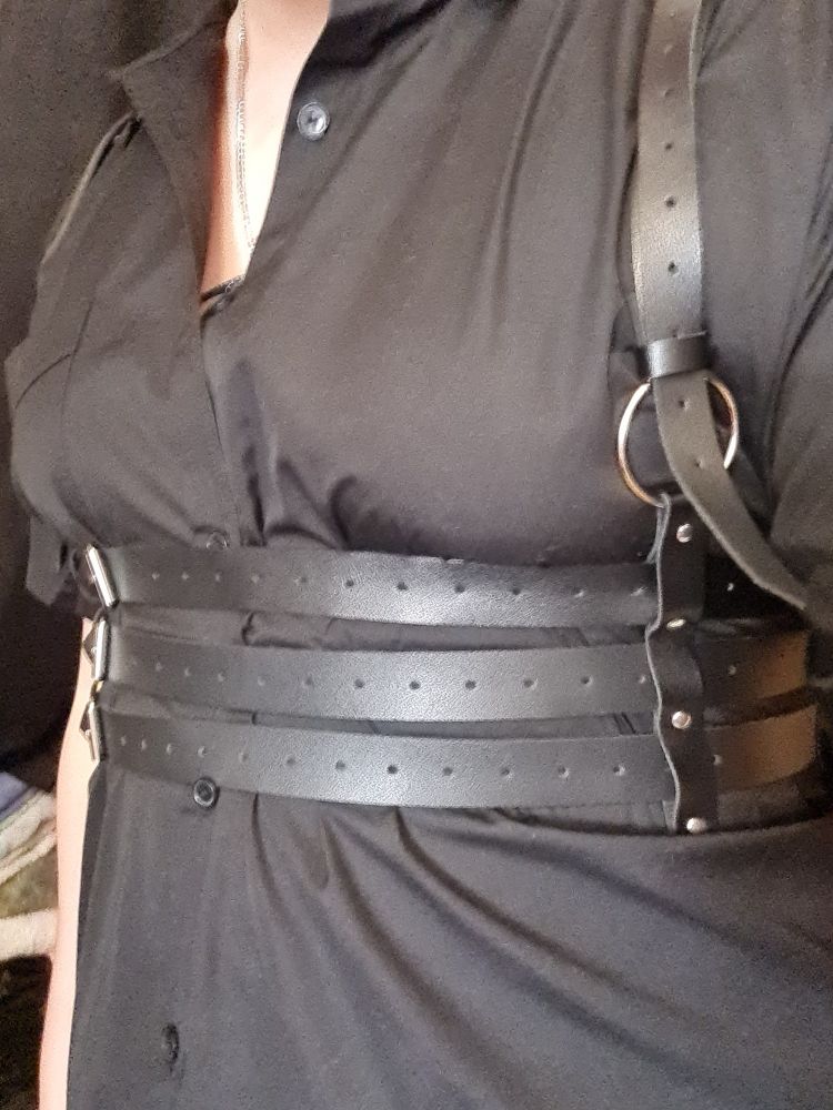 A new chest harness