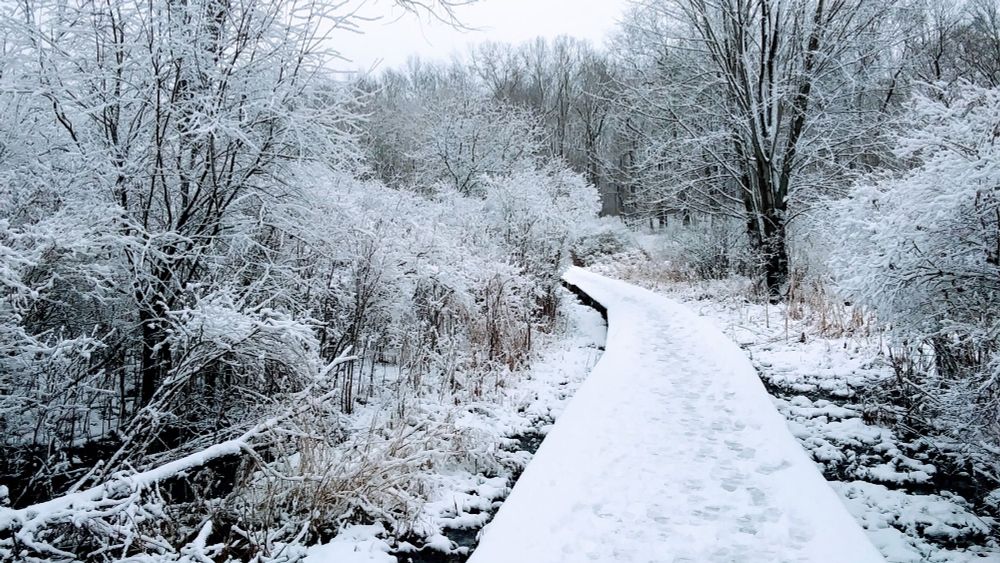 Winter at Lake Lansing North