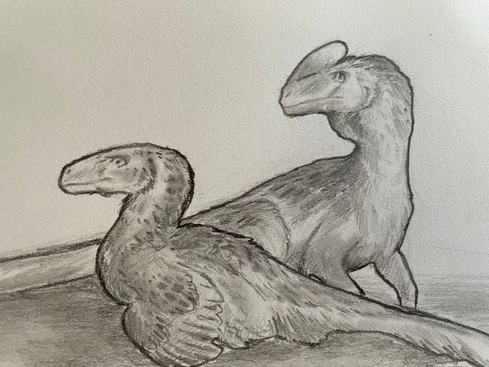 My two favorite dinosaurs: the Dromaeosaur from Alberta and Guanlong