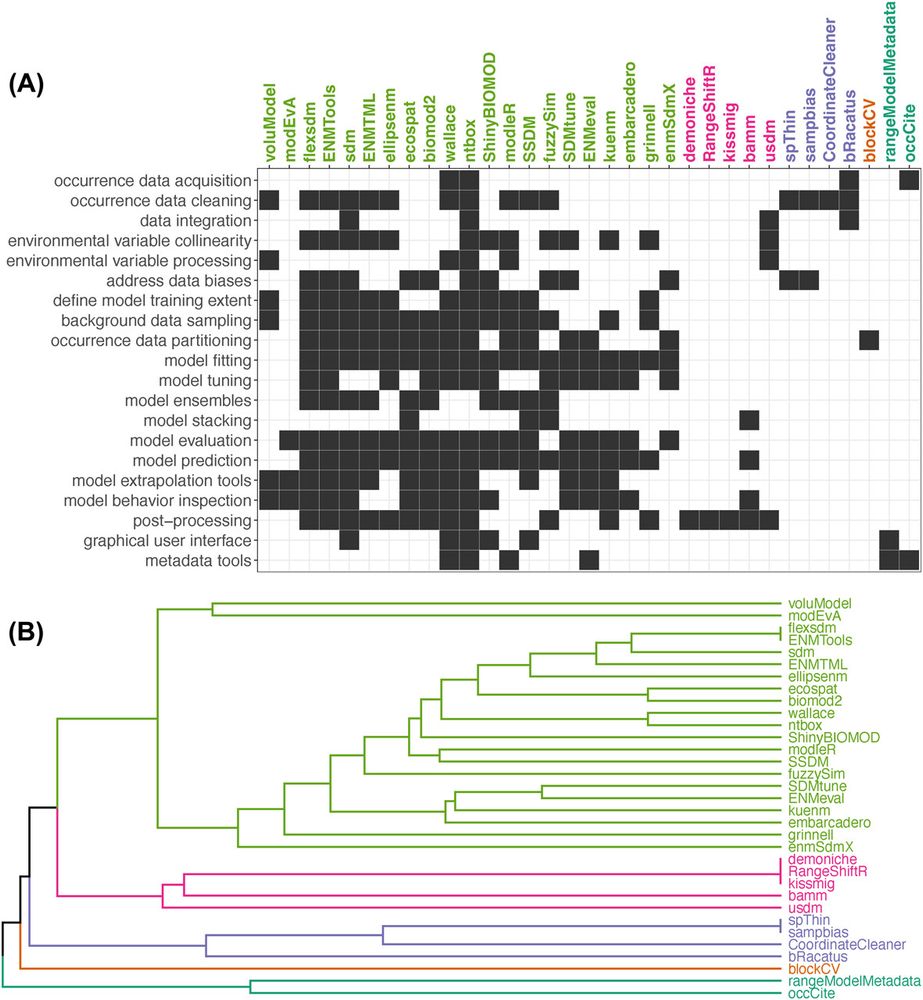 Achieving higher standards in species distribution modeling by leveraging the diversity of available software https://nsojournals.onlinelibrary.wiley.com/doi/10.1111/ecog.07346 #Software #Code #Rstats