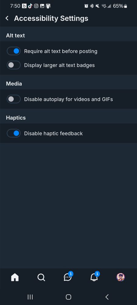 Screenshot of the Accessibility Settings in the Bluesky app. The options for "Require alt text before posting" and "Disable haptic feedback" are on and the options "Display larger alt text badges" and "Disable autoplay for videos and gifs" are off.