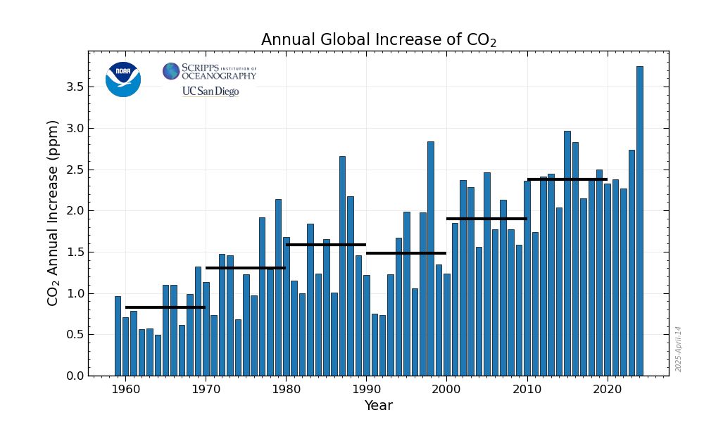 Annual increase in atmospheric CO2 in the marine boundary layer (global average). The bars steadily rise from 1960, with quite some interannual variability, but then 2024 is way above all other years (25% higher than the previous record).