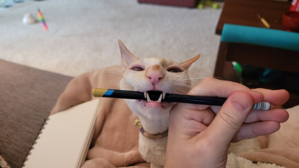 A white cat (Heihei)looks like a goblinoid cryptid grasping a colored pencil behind his fangs as an artist tries to hold it