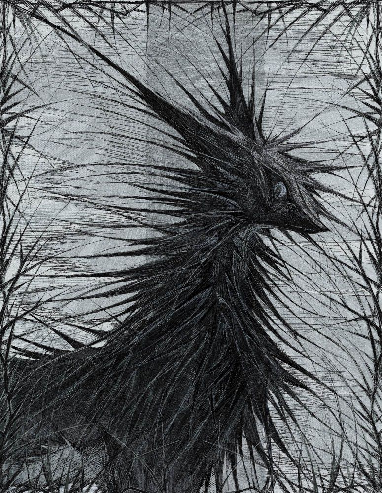 a portrait of a black cat/wolf-like creature oc/character surrounded thorny vines
