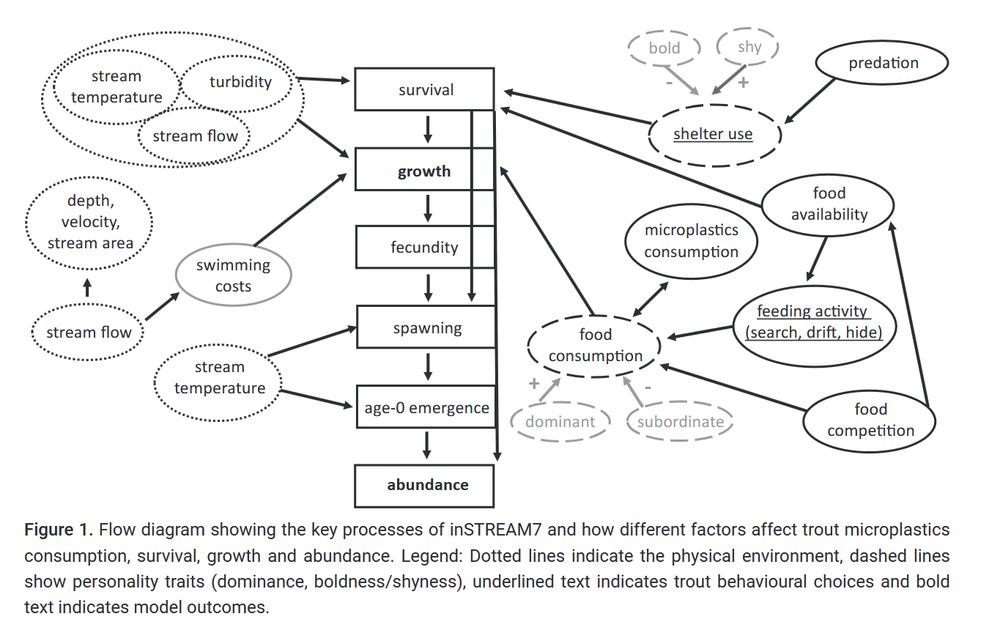 A conceptual diagram showing the ecological factors influencing fish abundance. The diagram is composed of interconnected ovals and rectangles, with directional arrows indicating influence.