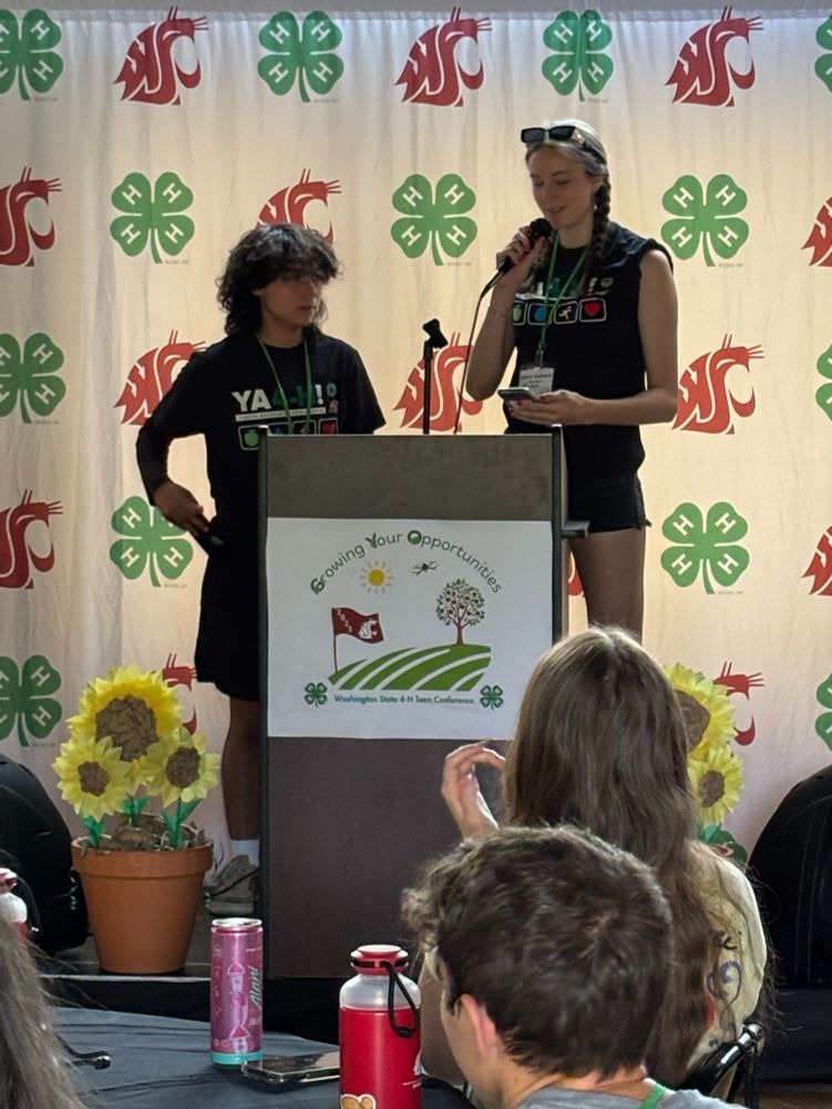 Two teens stand at a podium speaking during the Washington State 4-H Teen Conference. One holds a microphone and reads from a phone. The backdrop displays WSU and 4-H logos, with potted sunflowers on each side. Audience members are seated in the foreground.