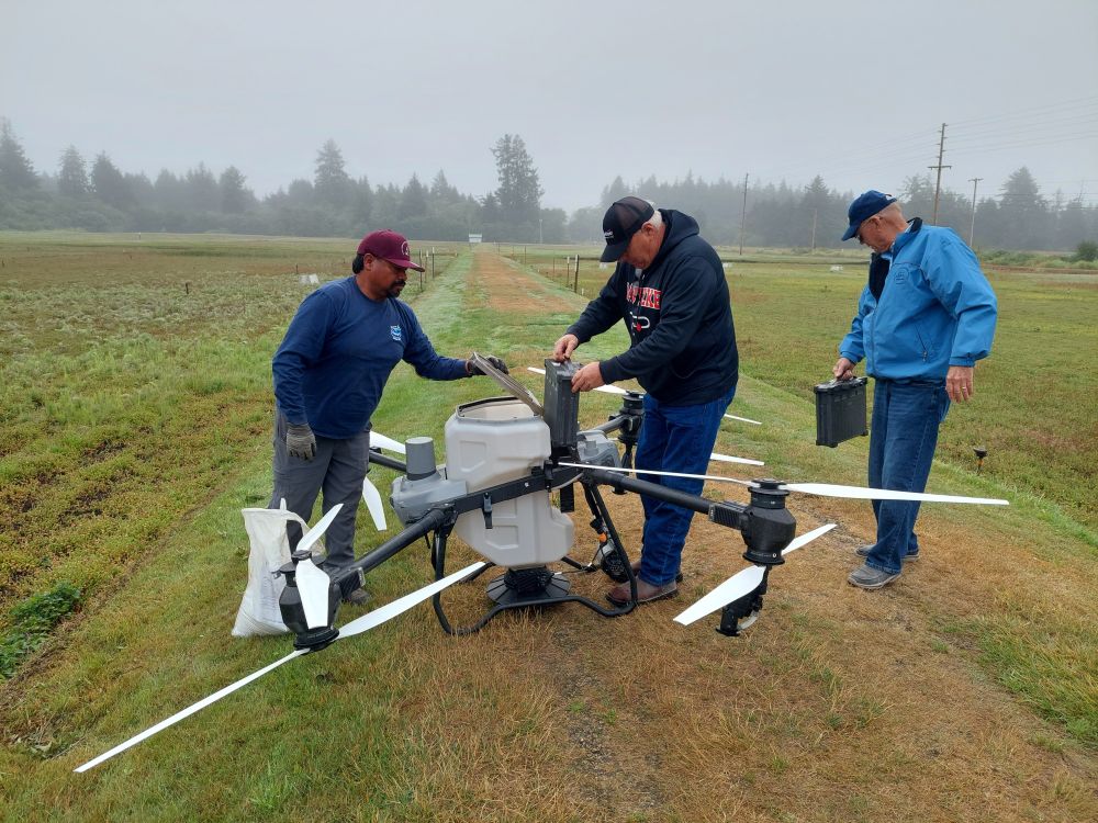 Grayland cranberry grower Nick Wood (center) helping to refill the fertilizer and battery on the drone that he was demonstrating for growers at the field day. Three people service a very large drone. Trees and fog in background.
