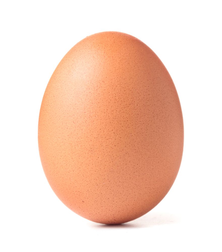 A single brown egg standing against a white background.