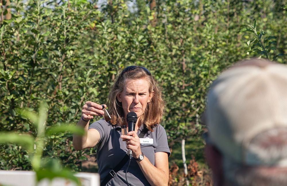 A Washington State University Extension expert holds up a vial to show participants in the foreground. Fruit trees line the background.
