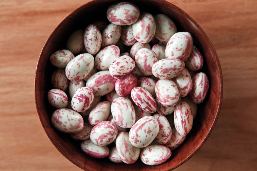 Brown bowl of burgundy speckled Borlotti beans.