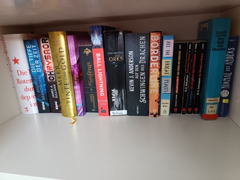 Regal mit etlichen Büchern, vor allem Science Fiction und Fantasy