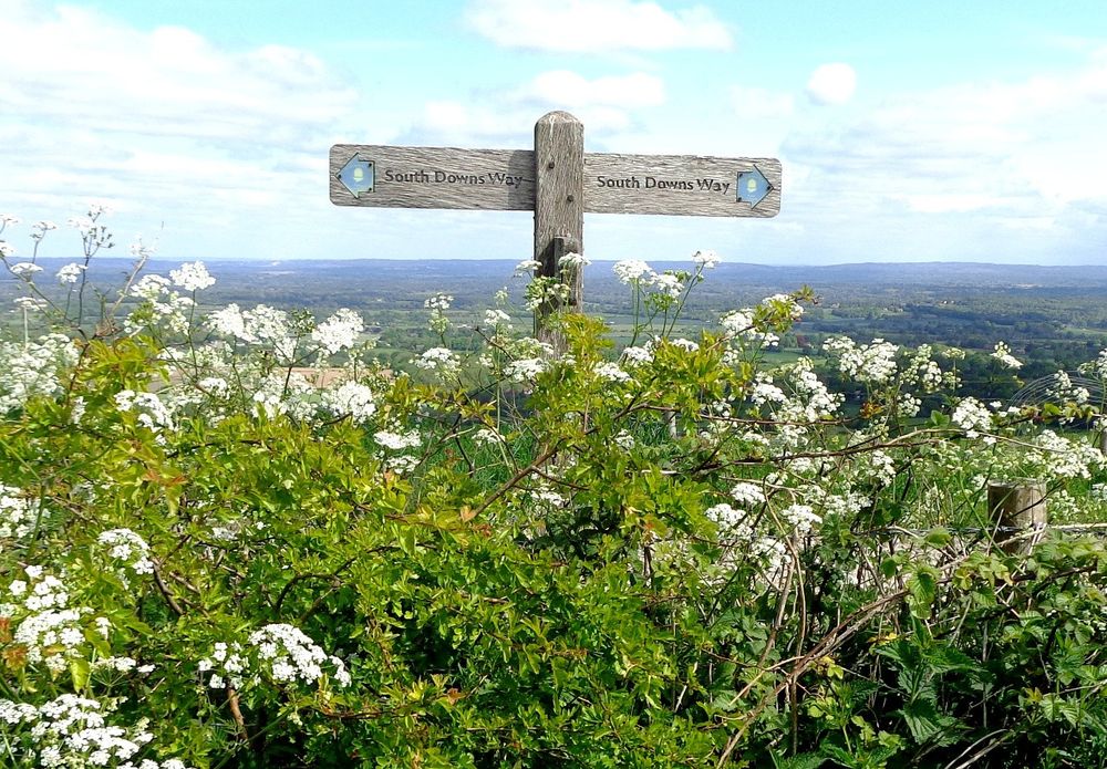 Fingerpost on the South Downs way 