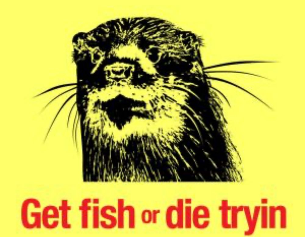 Picture of an otter saying “get fish or die trying”