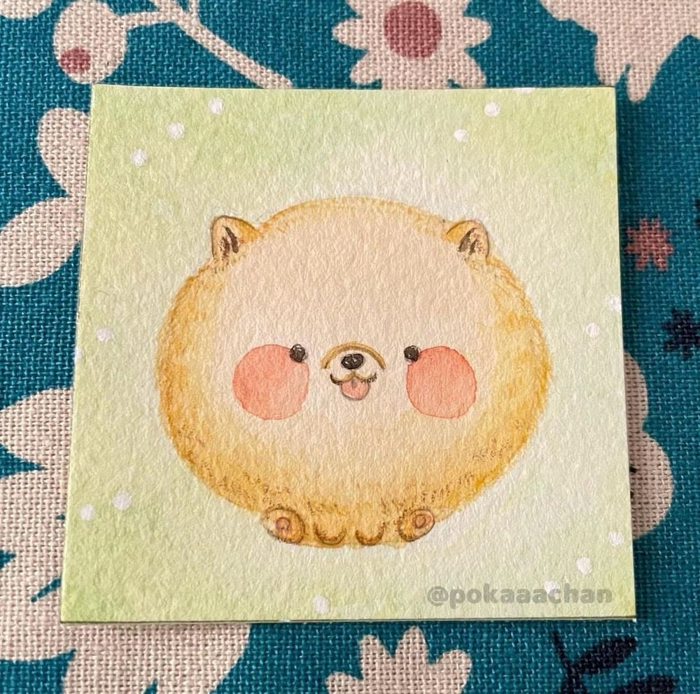 まん丸ポメラニアン