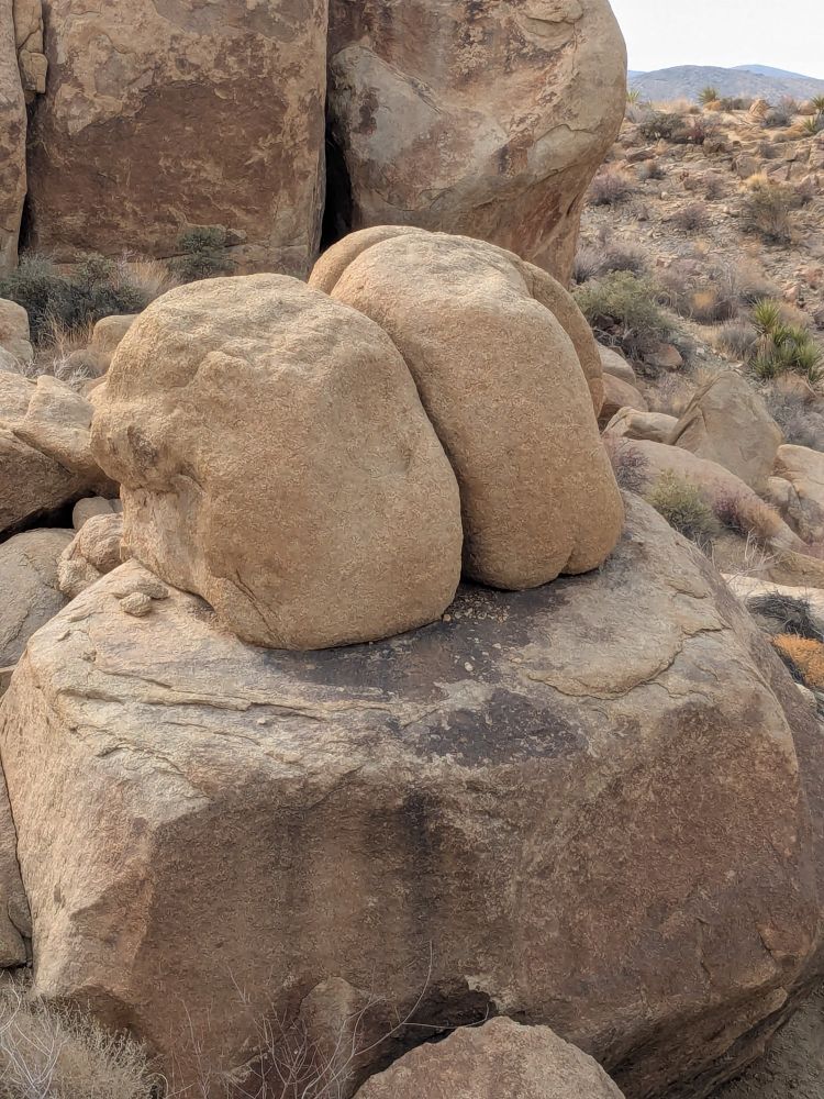 Rock formation at Joshua Tree National Park that looks like a butt.