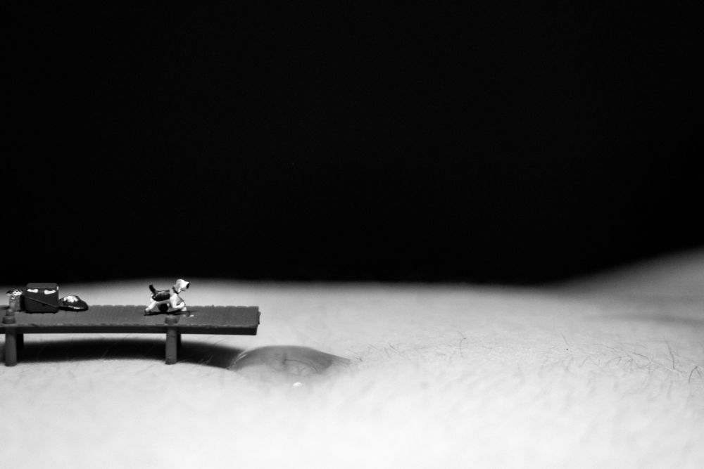 Miniature figure dog on a boat dock walking out to the water.