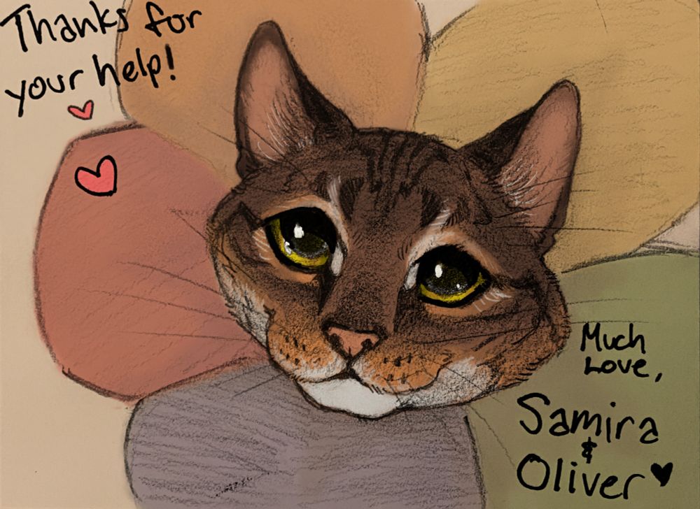 Hello everyone, thanks for reading this and giving Samira a chance! If you're able & willing to donate, my CashApp is $OlliesArts. 

You never know what you're gonna get when you adopt a kitten from the streets. Every part of loving & caring for a chronically ill cat is worth it, and I would choose Samira over & over again knowing all her health conditions that I know now!! This lil kitty gives back tenfold in personality & affection. 

However, vet bills & medication costs are increasingly difficult to cover in this economy. My lil squeaky beeb has been struggling with allergies that keep her scratching her skin open (hence the flower "cone"), & those meds have been covered by a dear friend thankfully! But currently, she needs a dental procedure done ASAP. Her gums are swollen, red, & inflamed, her breath smells rotten, her sad yowling utterly breaks my heart, & she's always pawing & rubbing at her face near her molars in pain & discomfort. I can't stand to see my baby Samira suffering, & I worry that leaving it too much longer without treatment will result in worse consequences & higher bills! I am talking to several low-cost & non-profit vets around my city, which definitely helps! But there are no places that can do it for free.

Currently I am looking at a little over $600 for Samiras exams, x-rays, anesthesia, the procedure itself, & follow-up medication. Which all things considered, is really cheap! I don't have that money to spare though. If you can contribute anything, even $1, I will be so so grateful. And even though Samira might not understand the concept of money, her relief will be real. <3

IMAGE: a digitally colored traditional pencil drawing of a smiling big-eyed adorable brown tabby cat wearing a rainbow flower-shaped cone-collar