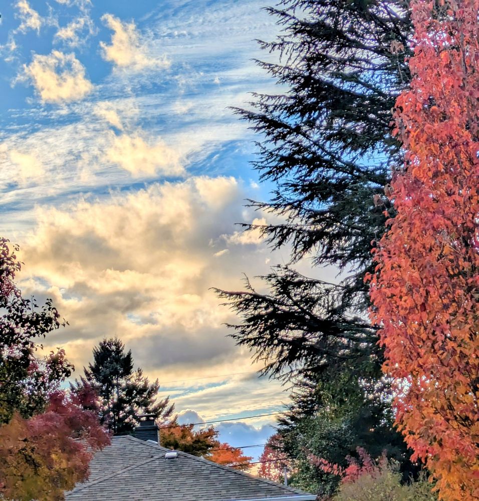 Above the neighbors roof line, blue sky begins to share space with early morning rain clouds 
